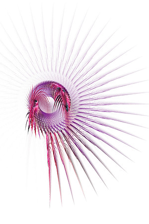 Dreamcatcher