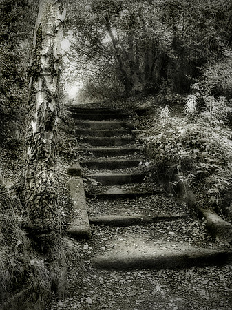 Steps