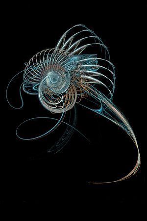 Fractal Shell
