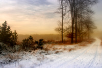 Christmas Eve in the Snow 2