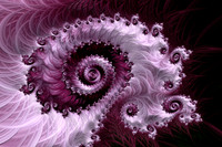 Purple Lace Fractal