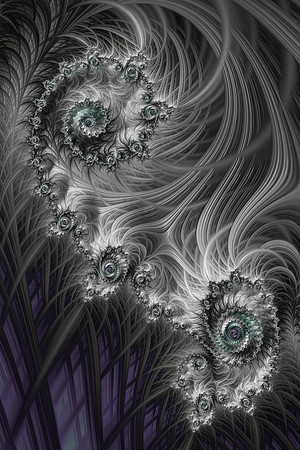 Fractal Elegance