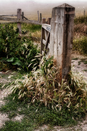 The Gate