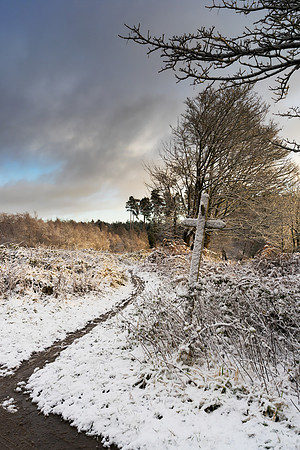 The Footpath