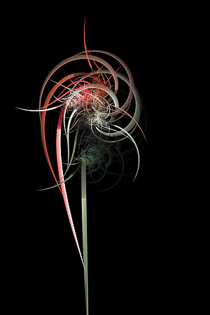 Fractal Thorns